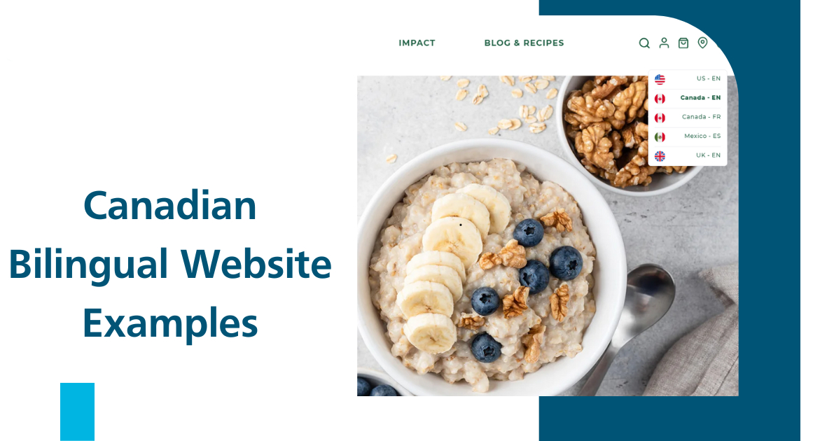 نمونه سایت دوزبانه